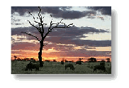 specialised tours